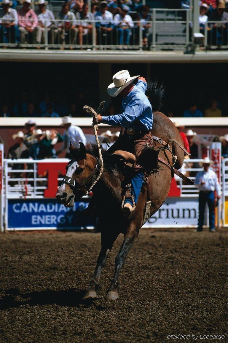 Travelodge Calgary Macleod Trail Exterior foto